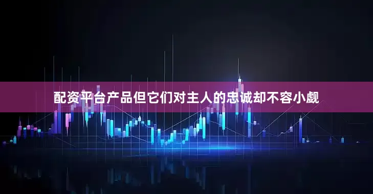 配资平台产品但它们对主人的忠诚却不容小觑