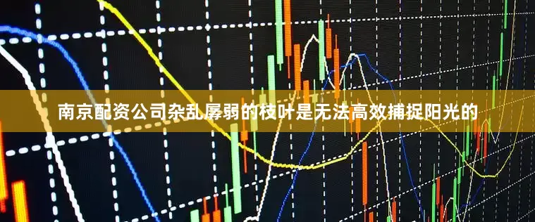南京配资公司杂乱孱弱的枝叶是无法高效捕捉阳光的